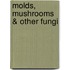 Molds, Mushrooms & Other Fungi