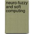 Neuro-Fuzzy And Soft Computing