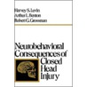 Neurobehavioral Consequences C door Robert G. Grossman