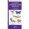 Olympic National Park Wildlife door James Kavanaugh