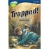 Ort:treetops Stg 14a Pack Of 6