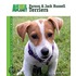 Parson & Jack Russell Terriers
