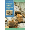 Petrified Forest National Park by George M. Lubick