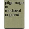 Pilgrimage in Medieval England door Diana Webb
