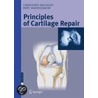 Principles Of Cartilage Repair by Christoph Erggelet