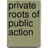 Private Roots of Public Action