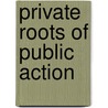 Private Roots of Public Action door Sidney Verba