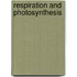 Respiration And Photosynthesis