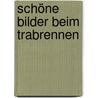 Schöne Bilder beim Trabrennen by Gerhard Roth