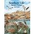 Sea Shore Life Sticker Picture