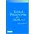 Social Philosophy After Adorno