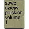 Sowo Dziejw Polskich, Volume 1 door W. Koronowicz