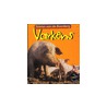 Varkens