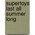Supertoys Last All Summer Long