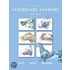 Textbook Of Veterinary Anatomy