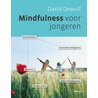 Mindfulness voor jongeren door David Dewulf