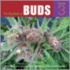 The Big Book of Buds, Volume 3