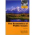 The Economics Of Public Issues