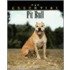 The Essential Pit Bull Terrier