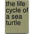 The Life Cycle Of A Sea Turtle