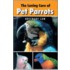 The Loving Care Of Pet Parrots