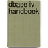 Dbase iv handboek