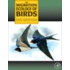 The Migration Ecology Of Birds