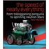 The Speed Of Nearly Everything