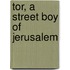 Tor, A Street Boy Of Jerusalem