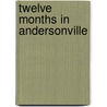 Twelve Months in Andersonville door Lessel Long