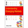 Understanding Emerging Markets door Stefano Pelle