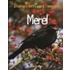 Merel