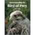Understanding The Bird Of Prey