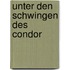 Unter den Schwingen des Condor