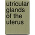 Utricular Glands of the Uterus