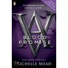 Vampire Academy: Blood Promise door Richelle Mead