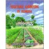 Vegetable Gardening in Florida