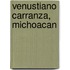 Venustiano Carranza, Michoacan