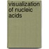 Visualization of Nucleic Acids