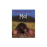 Mol