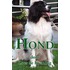 Hond