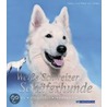 Weiße Schweizer Schäferhunde door Gaby von Döllen