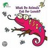 What Do Animals Eat for Lunch?