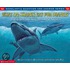 What Do Sharks Eat for Dinner?