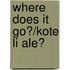 Where Does It Go?/kote Li Ale?