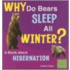 Why Do Bears Sleep All Winter?