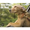 Why Dogs Do That 2011 Calendar door Onbekend