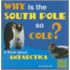 Why Is the South Pole So Cold?