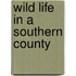 Wild Life In A Southern County