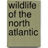 Wildlife of the North Atlantic